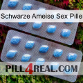 Black Ant Sex Pill viagra4